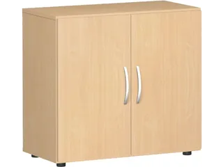 kantoorkast met openslaande deuren HxBxD 752x800x420mm hout beuken - 1