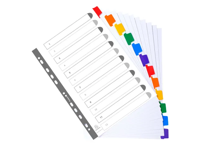 Tabblad Karton 160 Gram A4 index 12 tabs wit