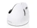 Evoluent4 VM4RB Bluetooth Verticale muis Medium/Large Rechts Wit