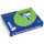 Trophée Intens gekleurd papier A4 160 gram 250vel Grasgroen