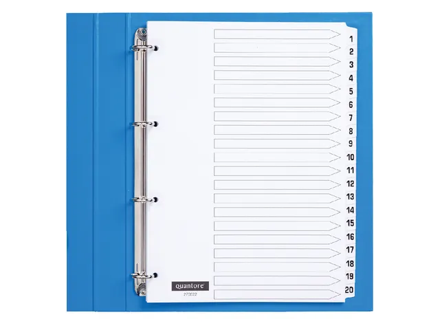 Tabbladen Quantore 4-gaats 1-20 genummerd wit karton