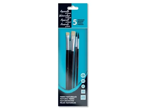Waterverfpenseel, set van 5