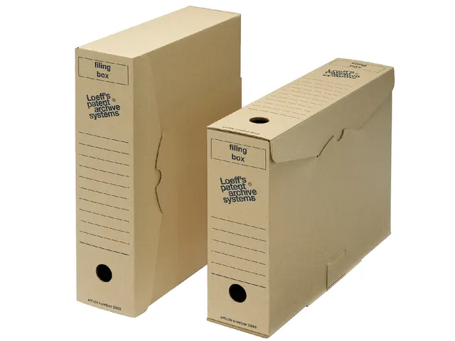Archiefdoos Loeff Filing Box 3003 folio 345x250x80mm karton