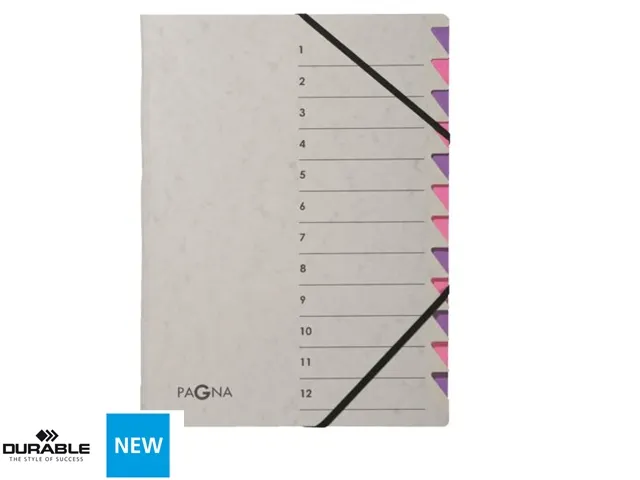 Sorteermap Pagna Easy 12 vaks A4 Grijs/Lila karton