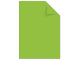 papier Kangaro A4 160 gram pak a 50 vel (10x5) assorti - 11
