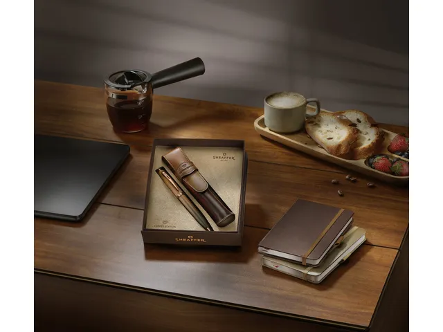 Coffret cadeau stylo à bille Sheaffer 100 G9374 Coffee ed. Matt brown