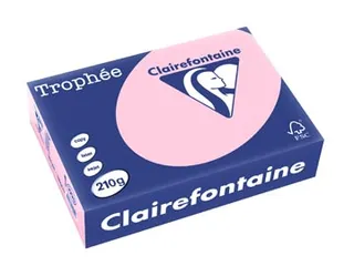 Trophée Pastel gekleurd papier A4 210 gram 250vel Roze - 2