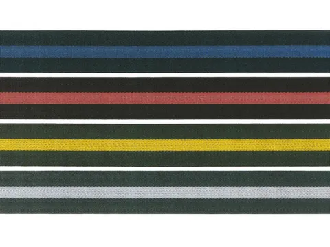 Afzetband Met Wandhouder 3m Abs-Kunststof 130x110mm Band Zwart/Geel