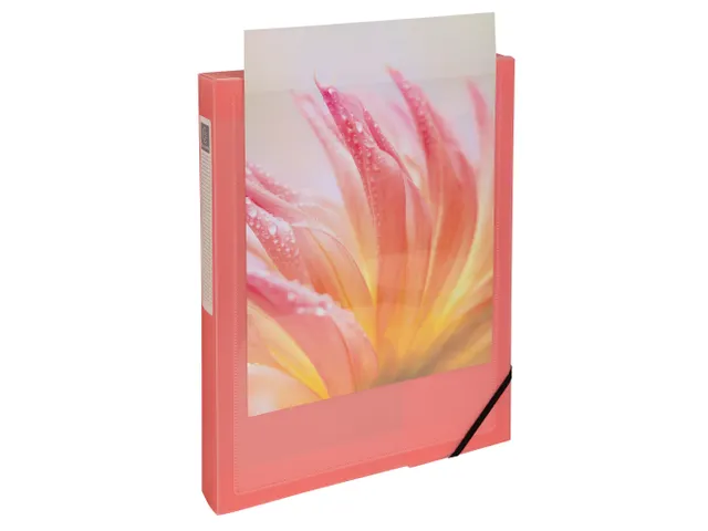 Boite de classement polypropylène Kreacover Pastel dos 40mm - A4 - Co