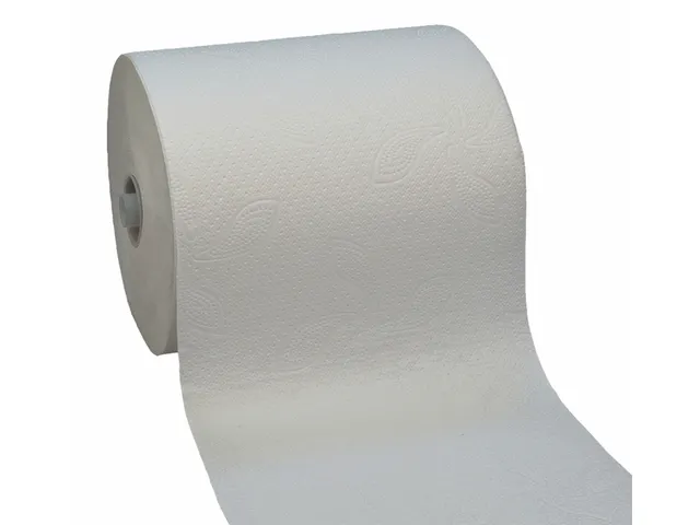 Handdoekrol Katrin Classic M2 460102 2-laags 21cmx160m wit