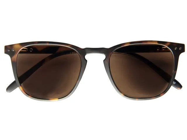 Zonnebril op sterkte I Need You +1.00dpt Playa havanna