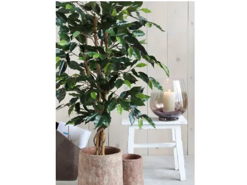 Kunstplant Mica Ficus groen in pot 85x150cm