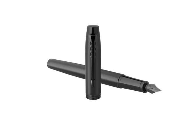 Stylo plume Parker IM Monochrome GB noir mat plume fine encre bleue
