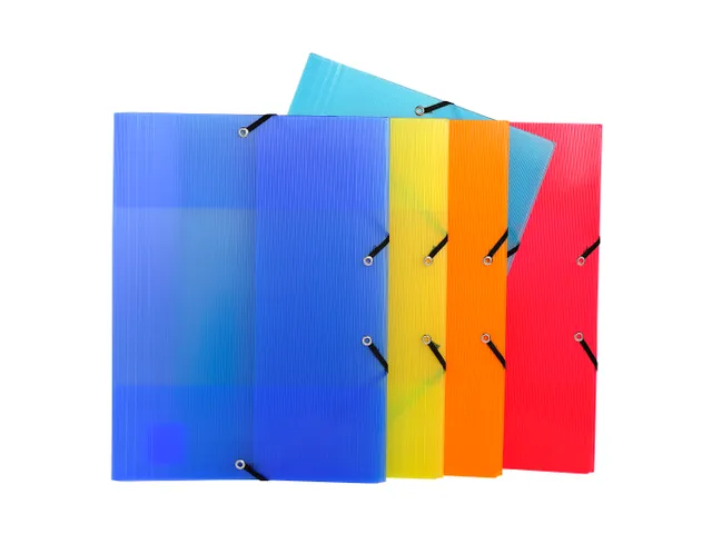 Exacompta Elastomap Linicolor PP A4 Assorti