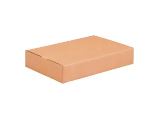 Amerikaanse Vouwdoos Dubbelgolf 790x490x180mm 20 Stuks - 3