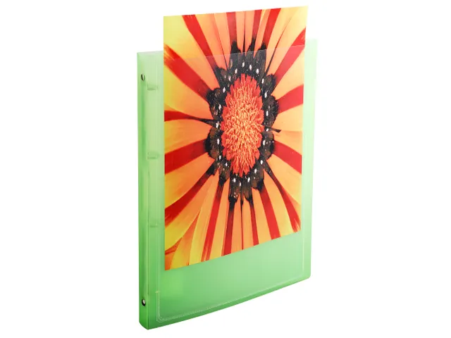 Panoramaringband A4+ Pp 4r Assorti 15mm