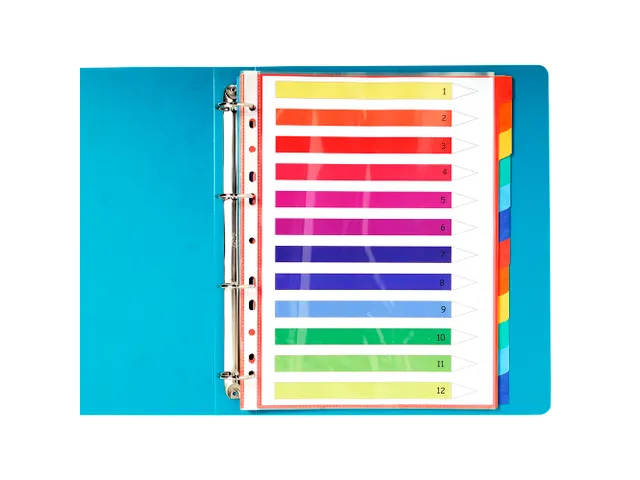 Tabbladen glanskarton 225g 12-delig formaat 24x32cm Assorti