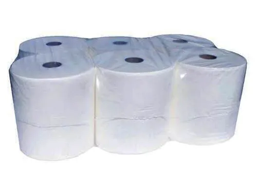 Toiletpapier Budget Mini Jumbo 2-laags 170m 12rollen