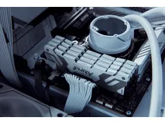 32GB 6400MT/s DDR5 CL32 DIMM FURY Renegade White XMP
