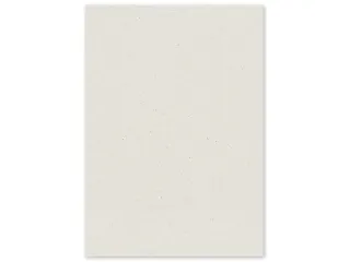 Kopieerpapier PaperWise A4 Natural 72 gram doos a 5 pakken - 7