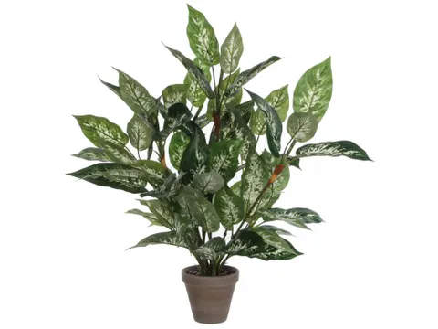 Vepa Bins Dieffenbachia