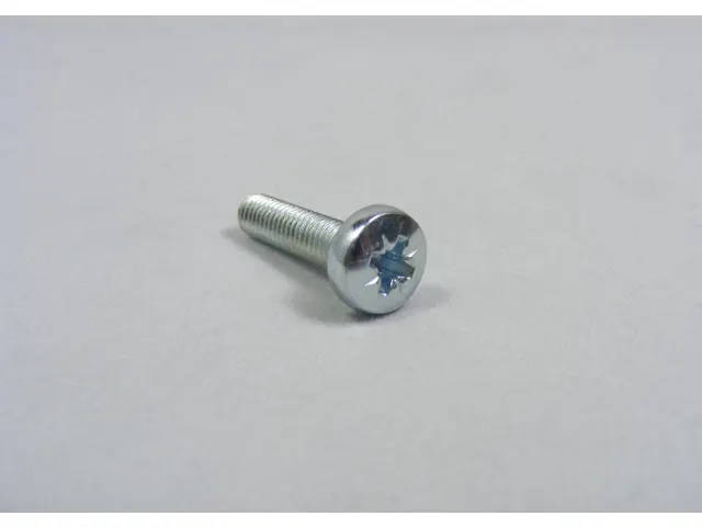 Schroef M5 20mm 219054