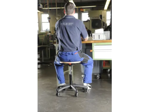 Werkplaatskruk Assistent Professional