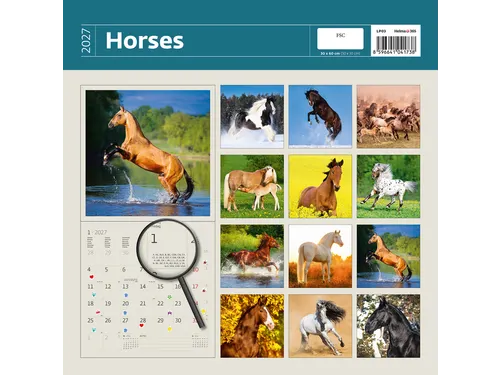 Kalender 2027 Helma 365 30x30cm paarden