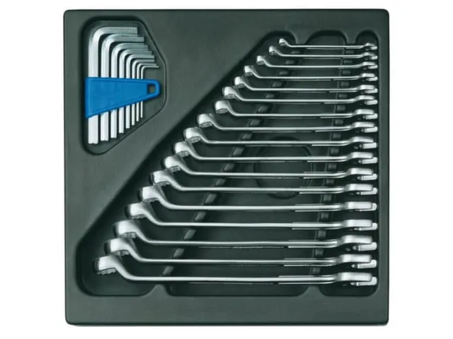 GEDORE 1500 ES-1 B Combinatiesleutelset in 2/3 ES module