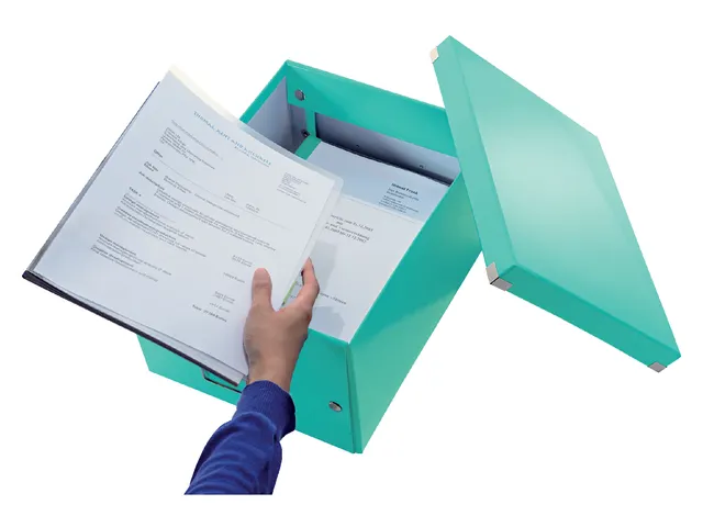 Boîte de rangement Leitz Click & Store 281x200x370mm Menthe