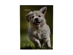 Agenda 2020 Lannoo My favourite friends dog groen