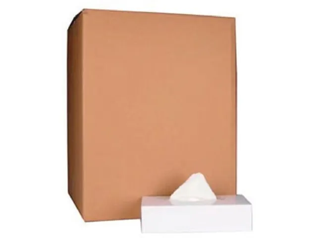 Tissues, 2 plis, 100 tissues par boïte, paquet de 40 boïtes