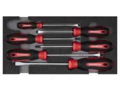 R22150014 Schroevendraaierset PZ+SL 2/6 CT-module 6-delig