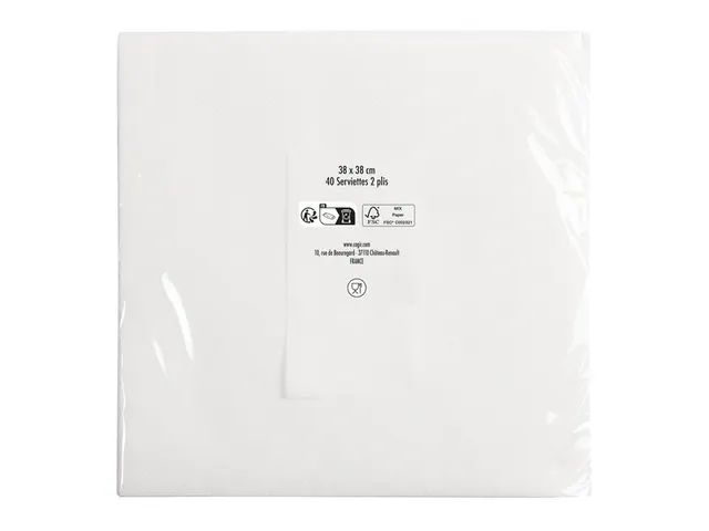 Servet Pronappe 1/4 vouw 2-laags 380x380mm 40 vel wit