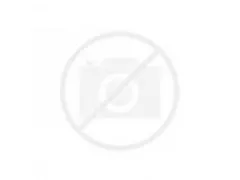 Kwast Qrea varkenshaar nr 6 6,8mm