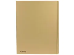 Esselte Dossiermap Gems 300 Gram Folio