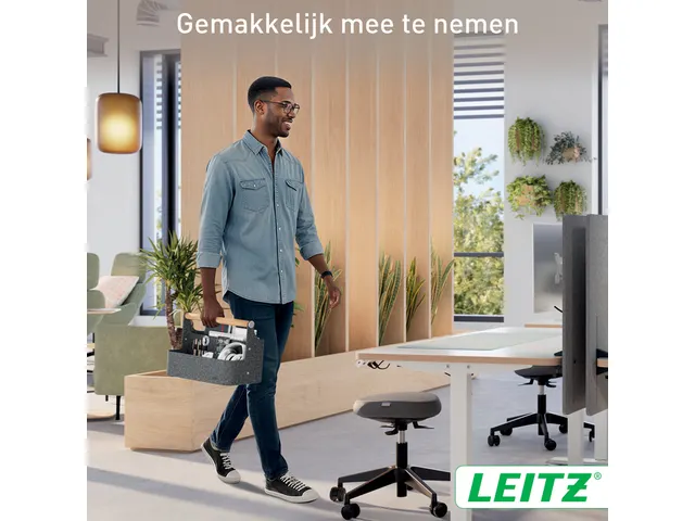 Bureau organizer Leitz draagbaar donkergrijs
