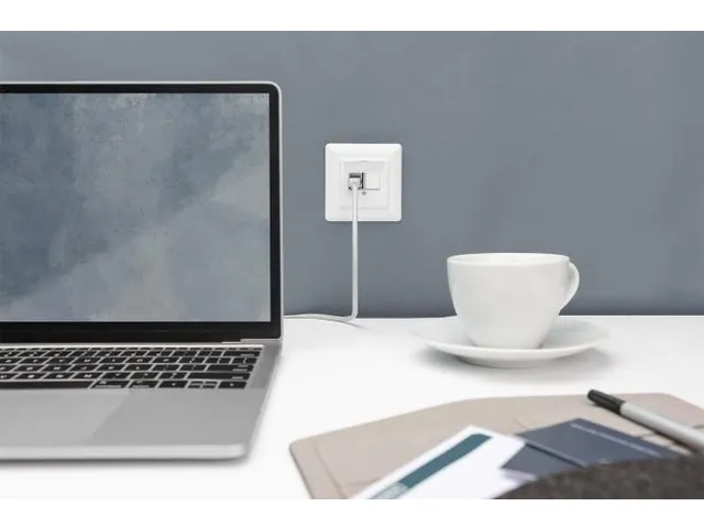 Frontpaneel en Montageframe Voor Multimedia-/Keystonemodules Wit