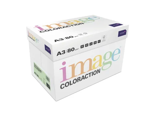Kopieerpapier Forrest Middelgroen A3 160 Gram 500 Vel