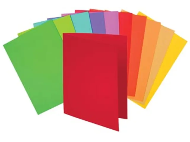 Exacompta Inlegmap A4 Bahia Assorti