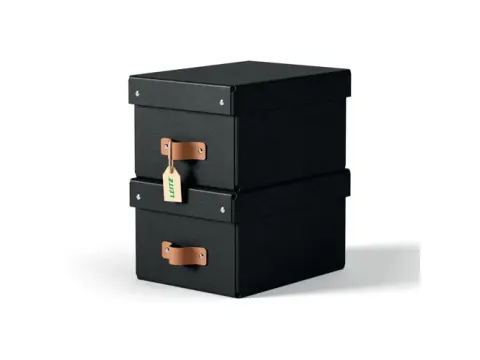 Leitz Puro Opbergdoos met deksel klein 7L set van 2 zwart