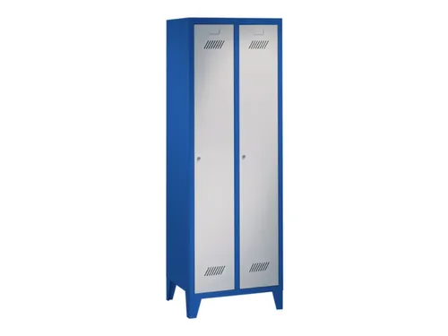 locker,HxBxD 1850x600x500mm,2vak,vak B 300mm,RAL7035,front RAL5010
