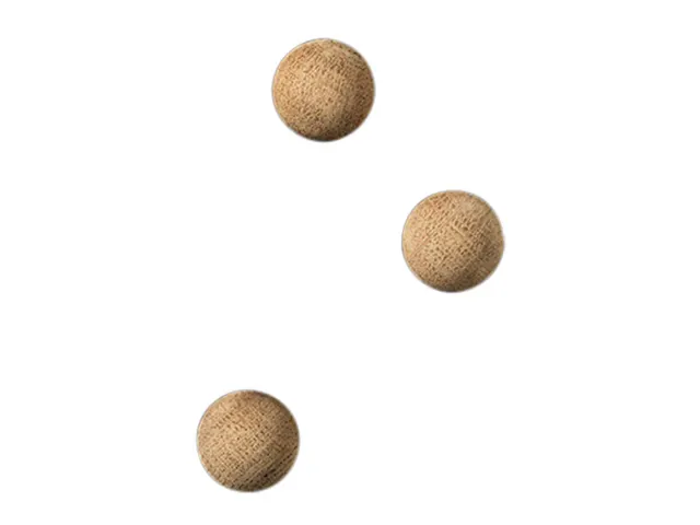 Magneten Naga rond 20mm set a 3st. eiken