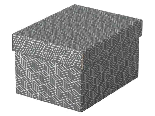 Esselte Home kleine opberg- en geschenkdoos karton grijs 3 stuks