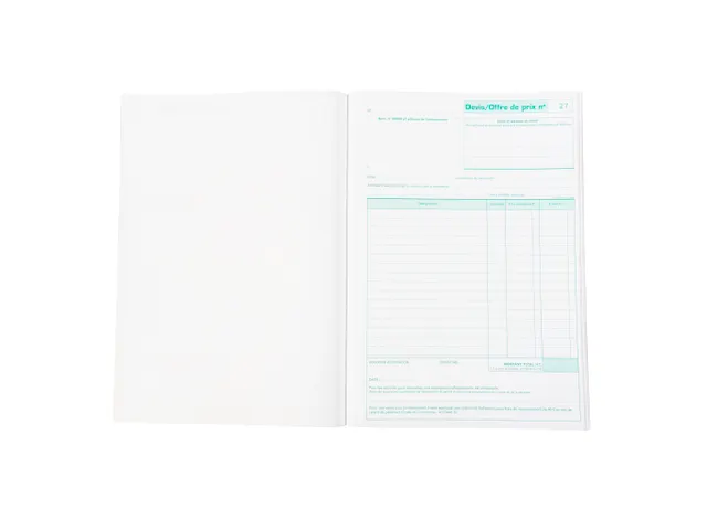 Manifold Devis Micro-entrepreneur 29,7x21cm 50 feuillets dupli autocop