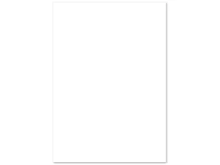 Kopieerpapier PaperWise A3 wit 80 gram doos a 5 pakken - 5