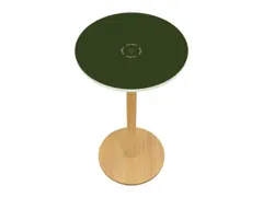 statafel,HxØ 1100x600mm,rond,schotelvoet natuur,blad groen