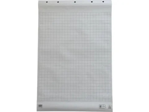 Flipchartpapier 65 X 98 Cm Geruit Blok Van 50 Vel