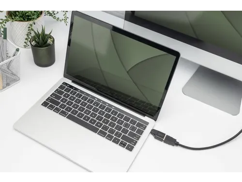 4K USB-adapter USB-C/mannelijk naar HDMI A/vrouwelijk