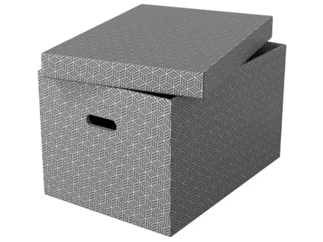 Esselte Home Grote Opbergdoos Grijs 355x305x510mm Set van 3
